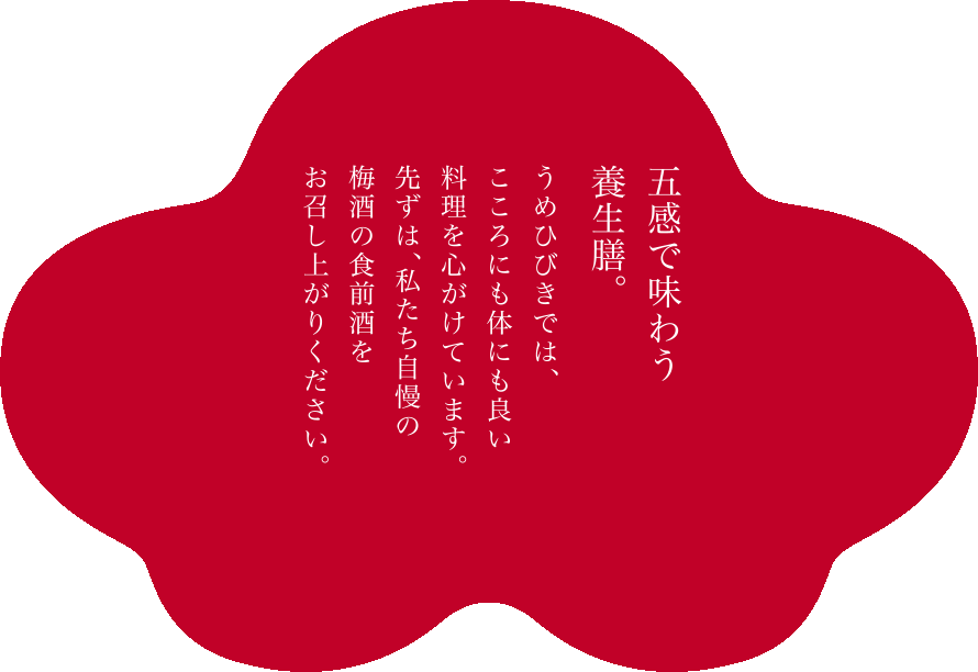 五感で味わう養生前菜。